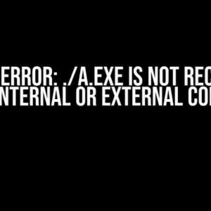 VS Code Error: ./a.exe is not recognized as an internal or external command