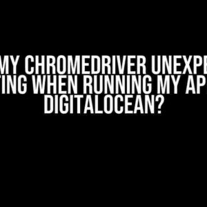 Why is my Chromedriver unexpectedly exiting when running my app on Digitalocean?